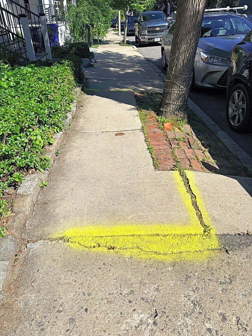 Image submitted with report