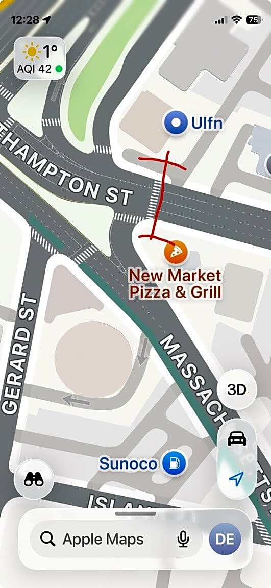 Image submitted with report