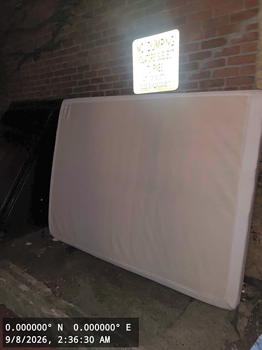 Image submitted with report