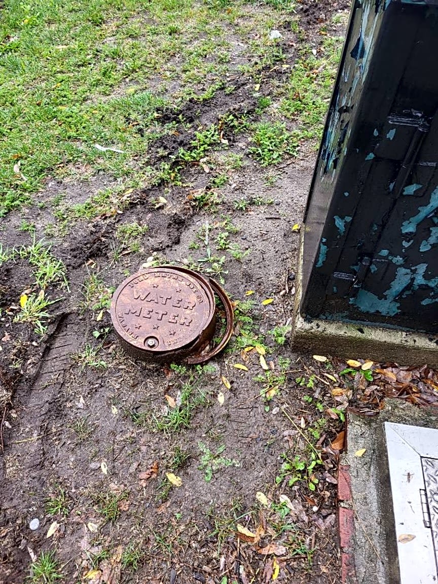 Image submitted with report