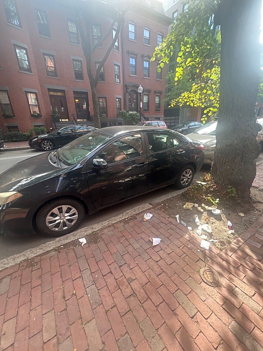 Image submitted with report