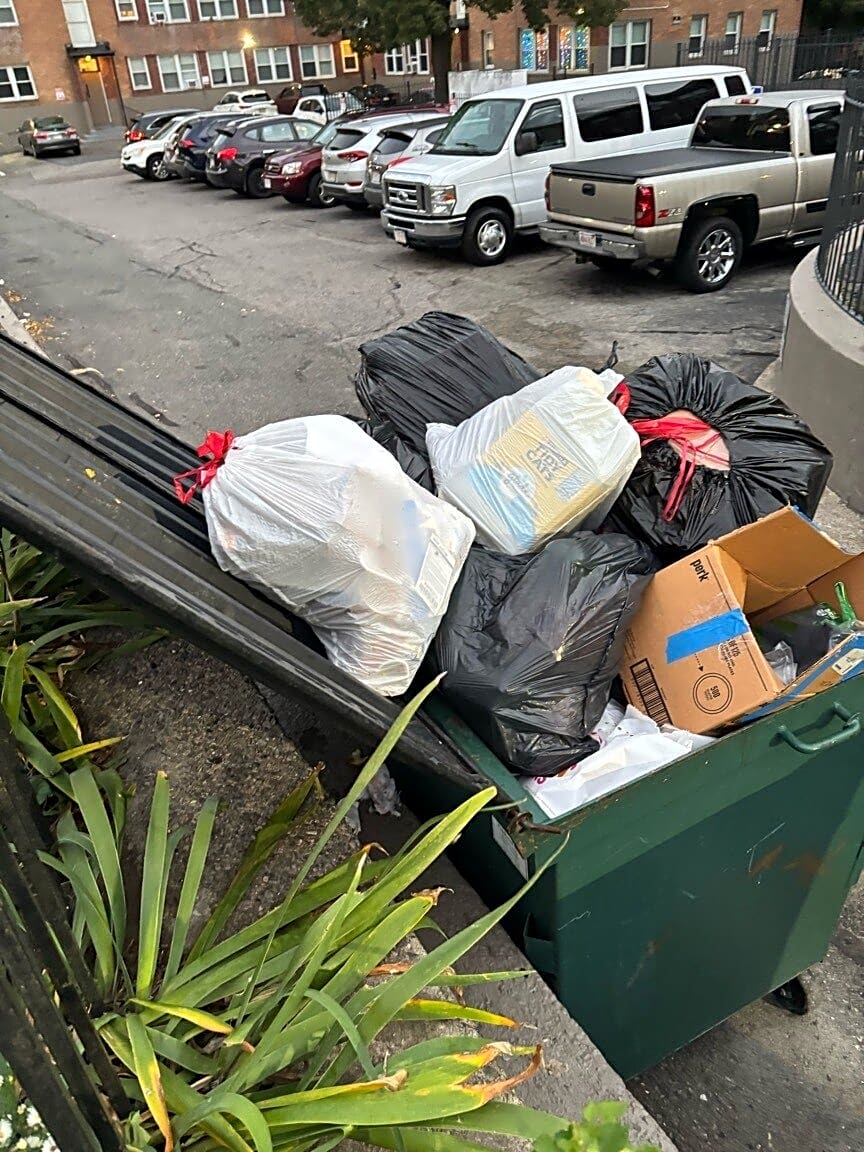 Image submitted with report