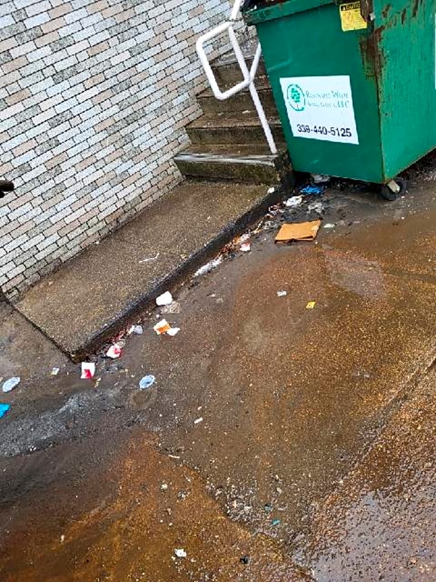 Image submitted with report