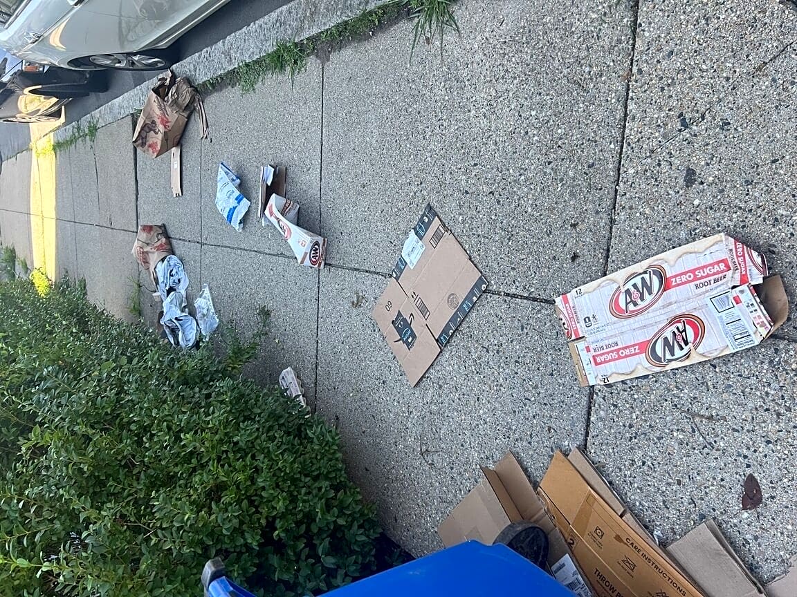 Image submitted with report