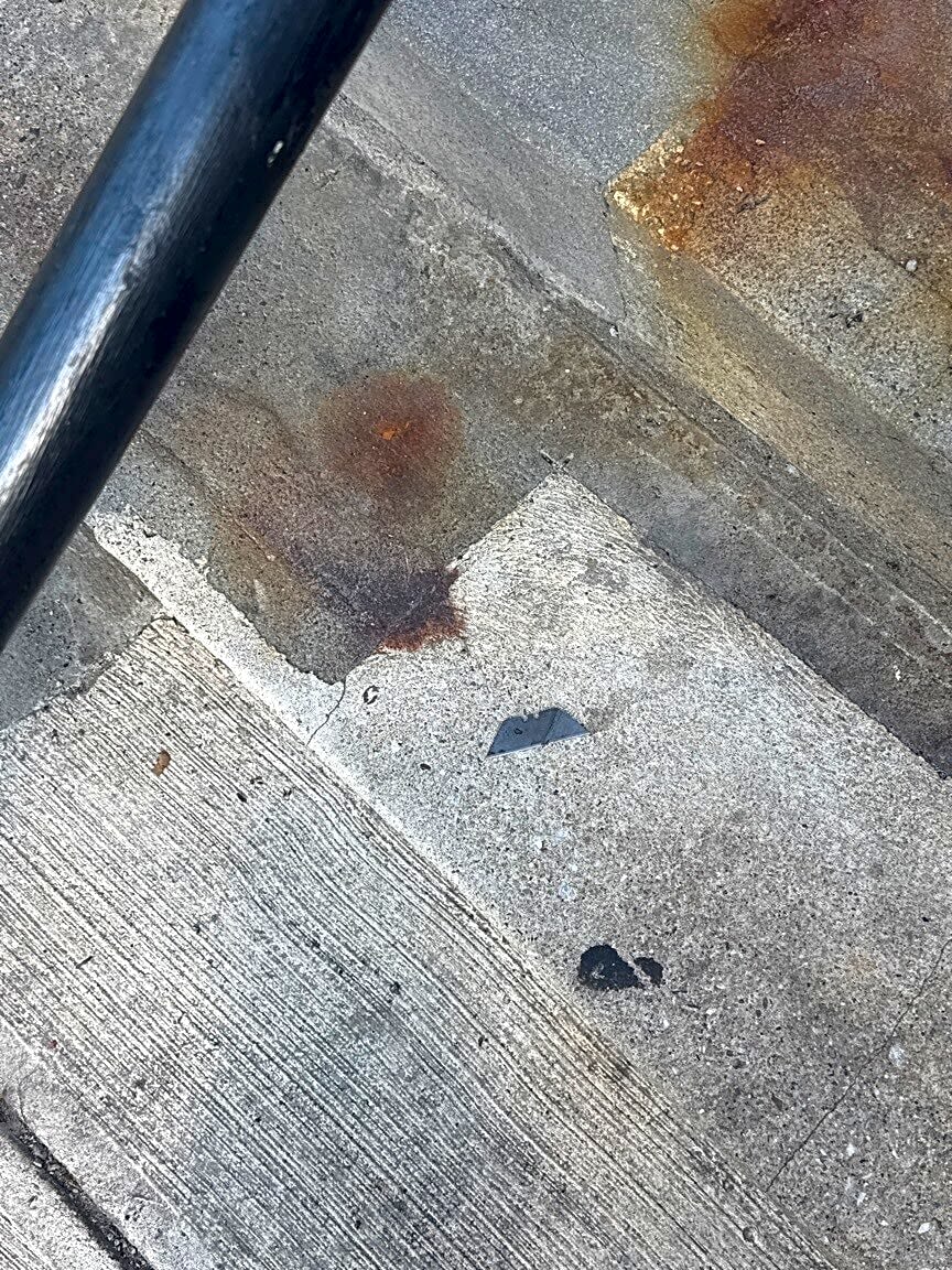 Image submitted with report