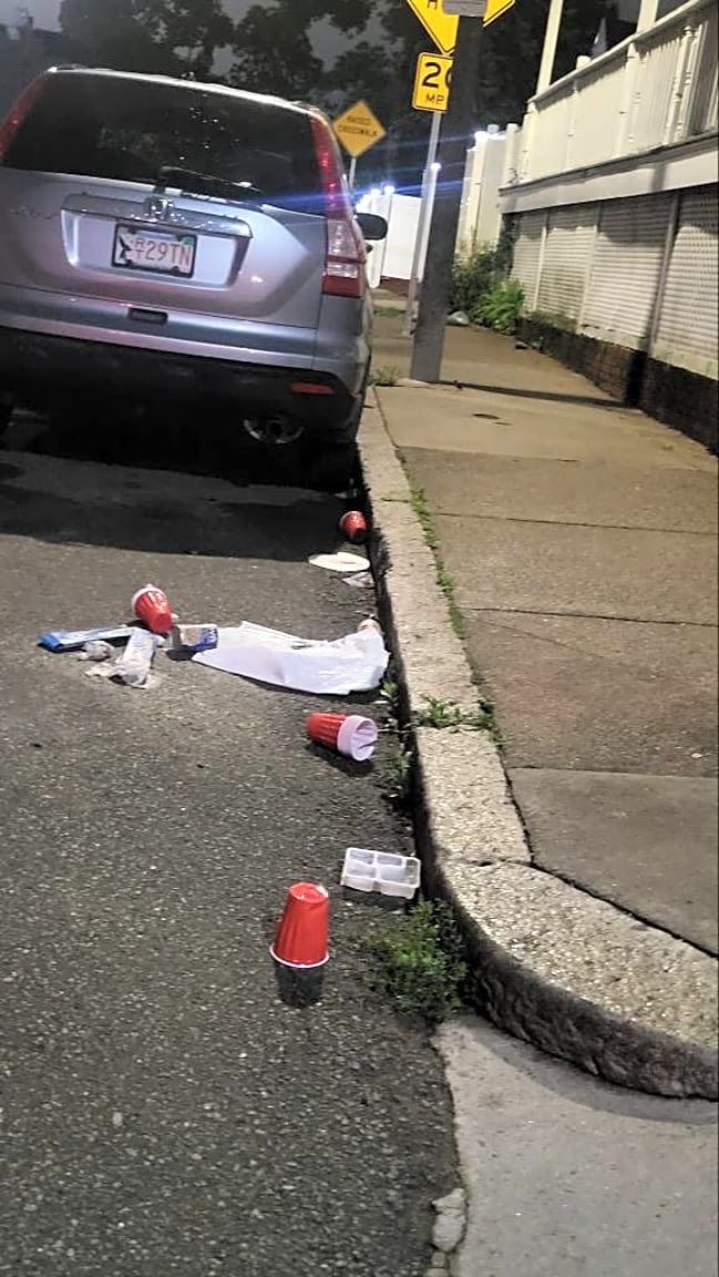 Image submitted with report