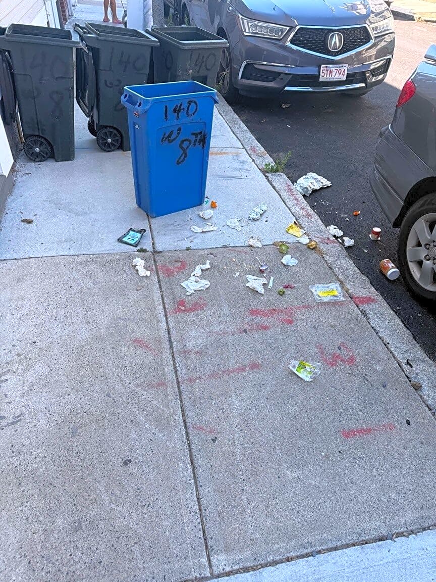 Image submitted with report