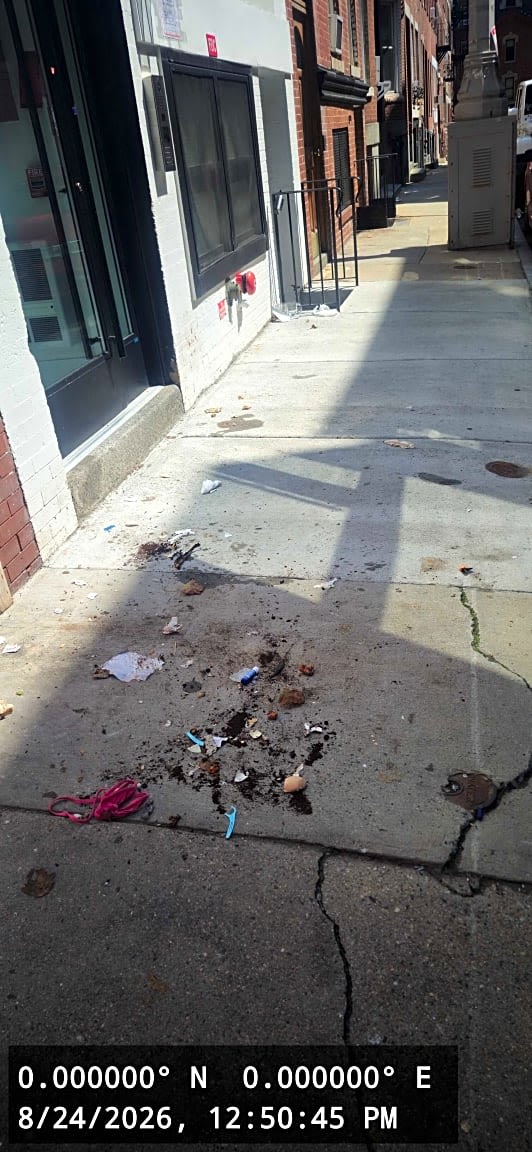 Image submitted with report