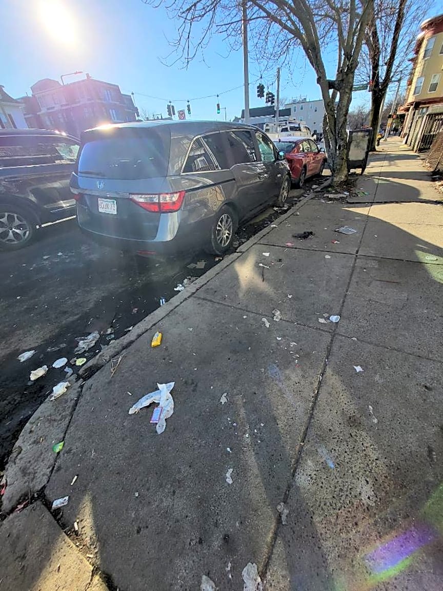 Image submitted with report