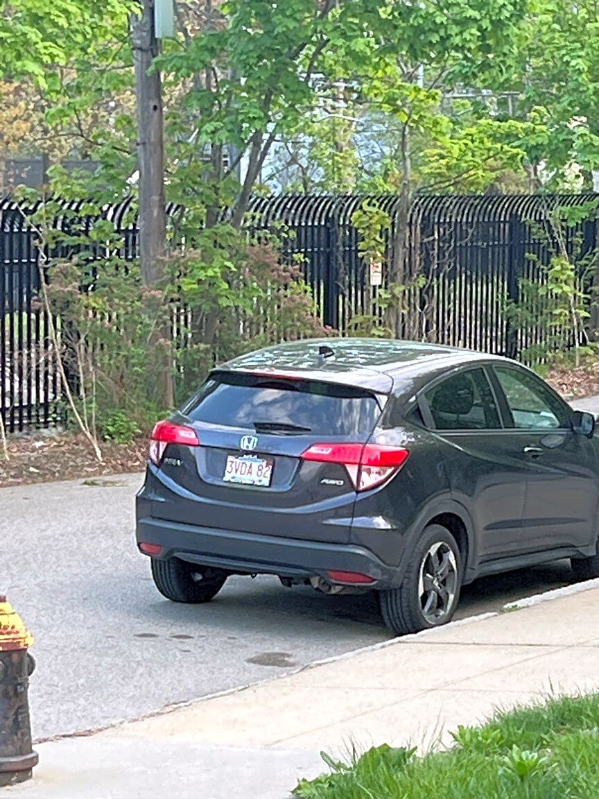 Image submitted with report