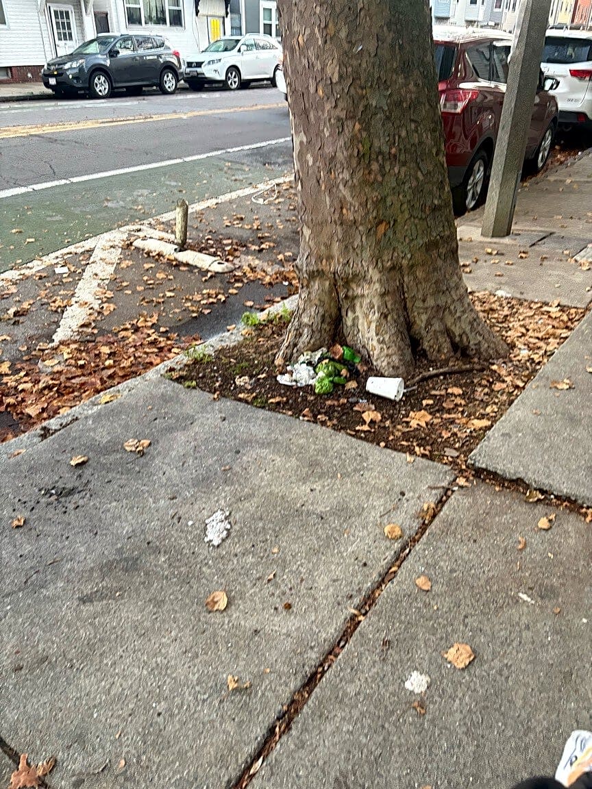 Image submitted with report