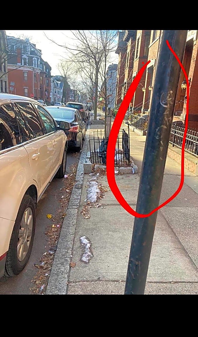 Image submitted with report