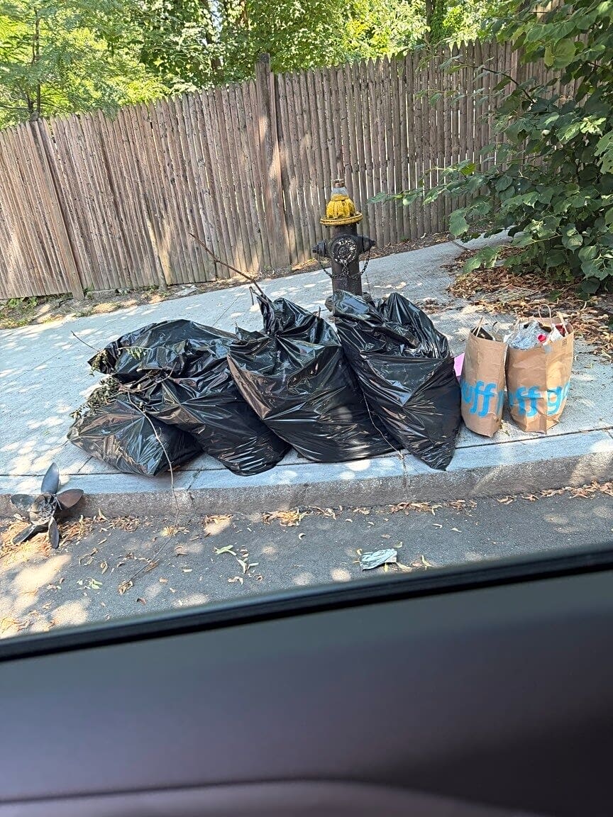 Image submitted with report
