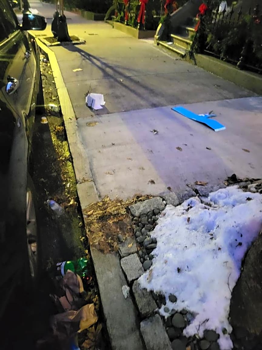 Image submitted with report