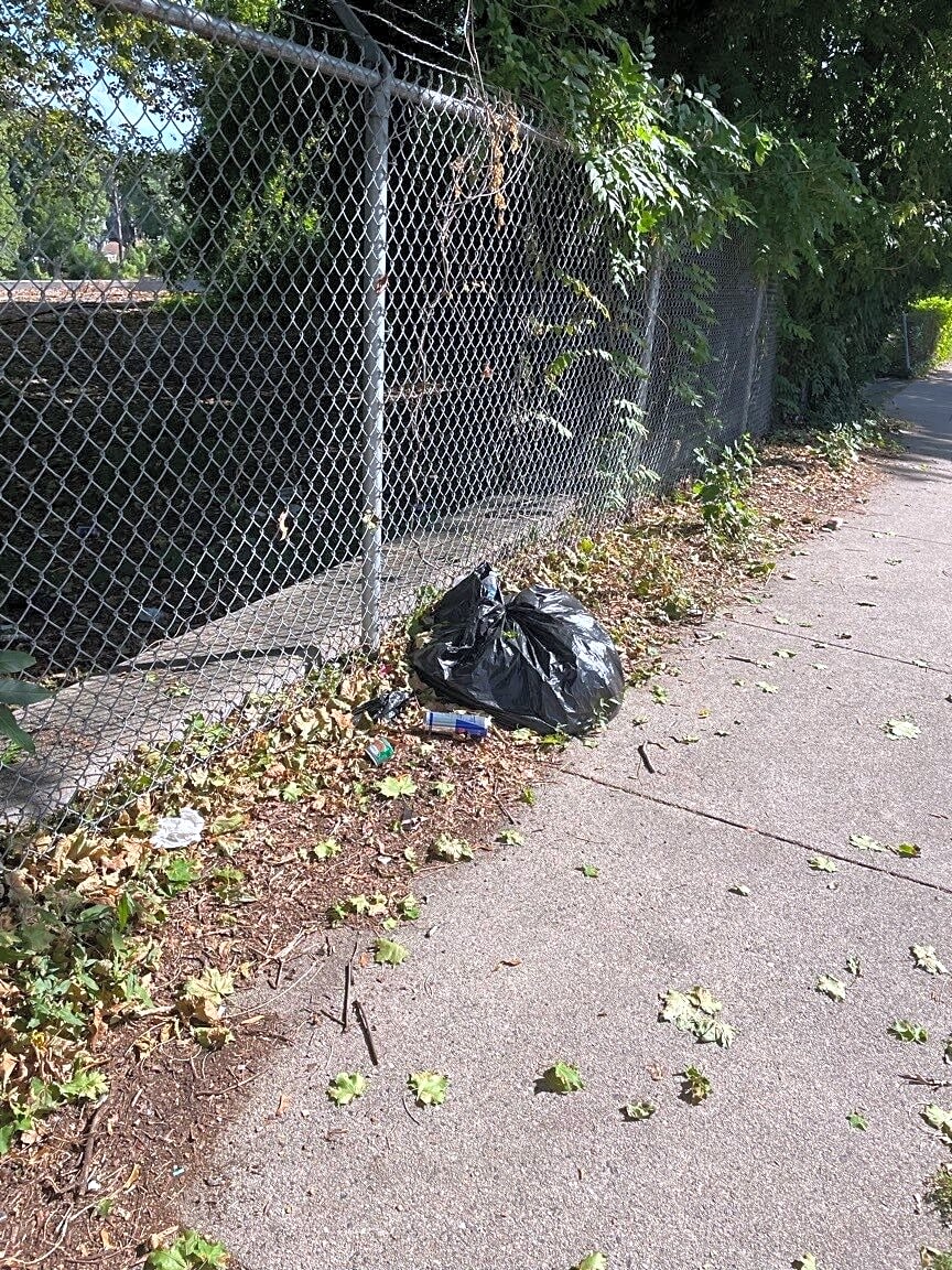 Image submitted with report
