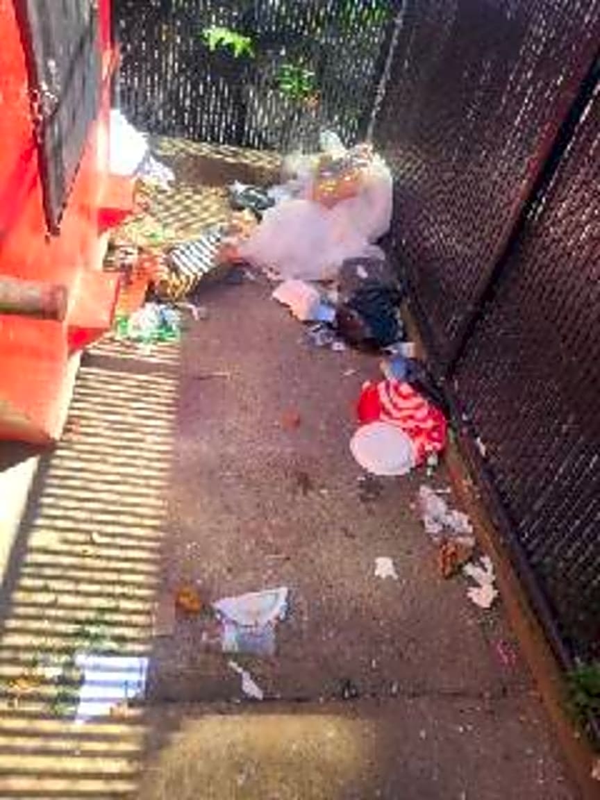 Image submitted with report