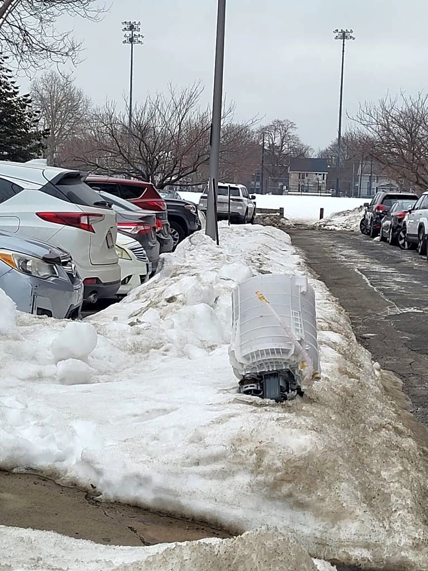 Image submitted with report