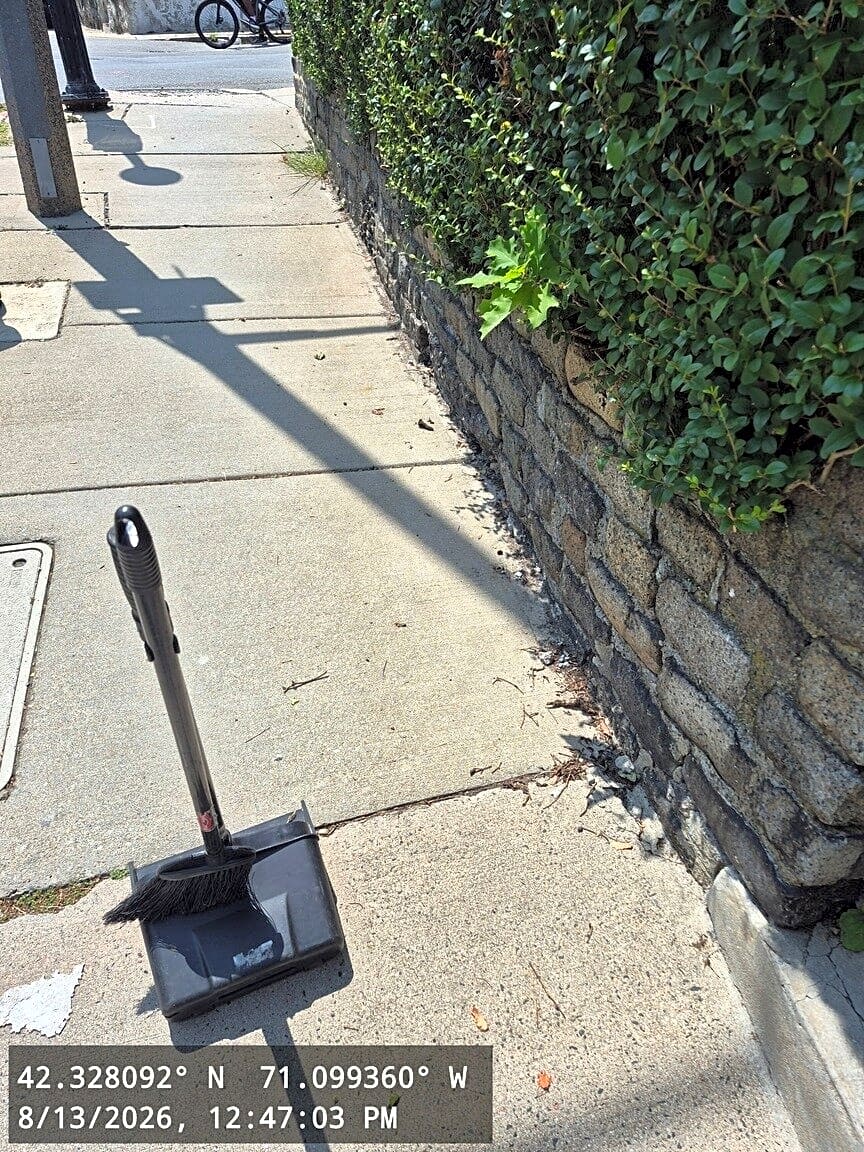 Image submitted with report