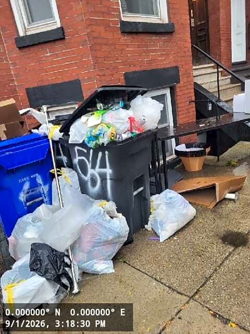 Image submitted with report