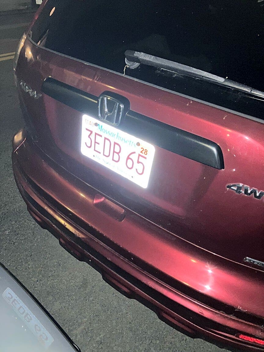 Image submitted with report