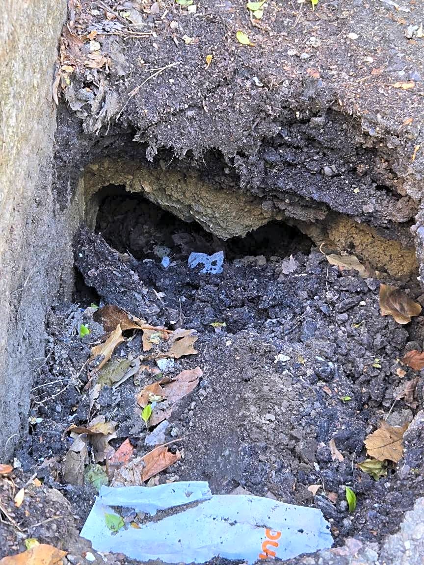 Image submitted with report