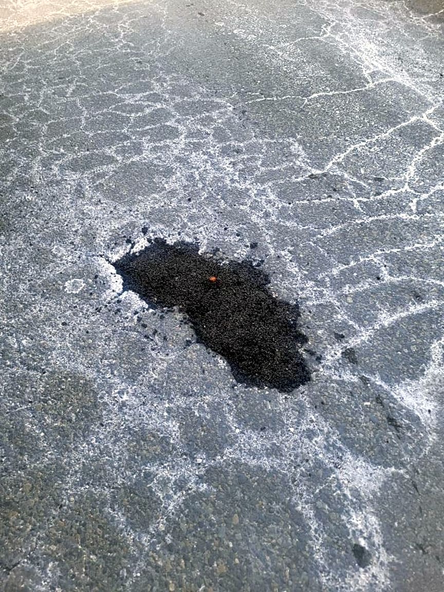 Image submitted with report