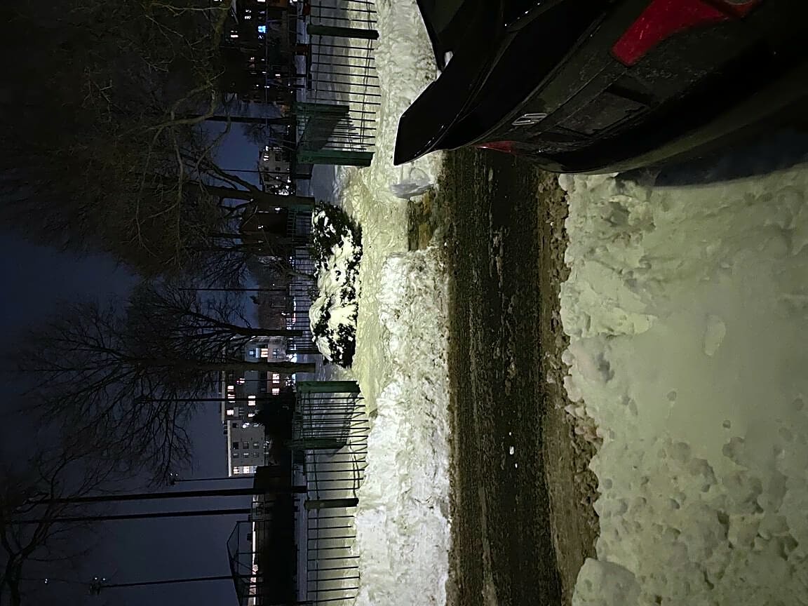 Image submitted with report