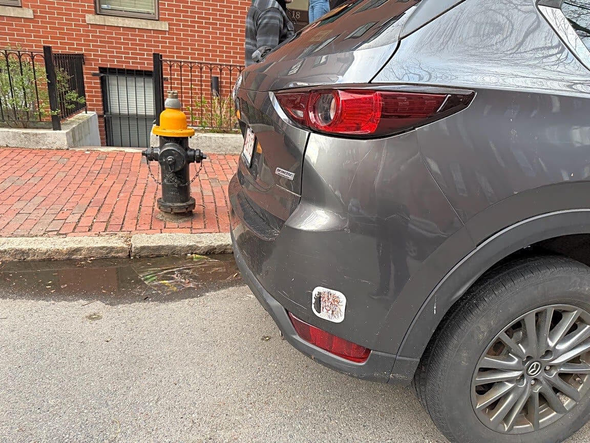 Image submitted with report