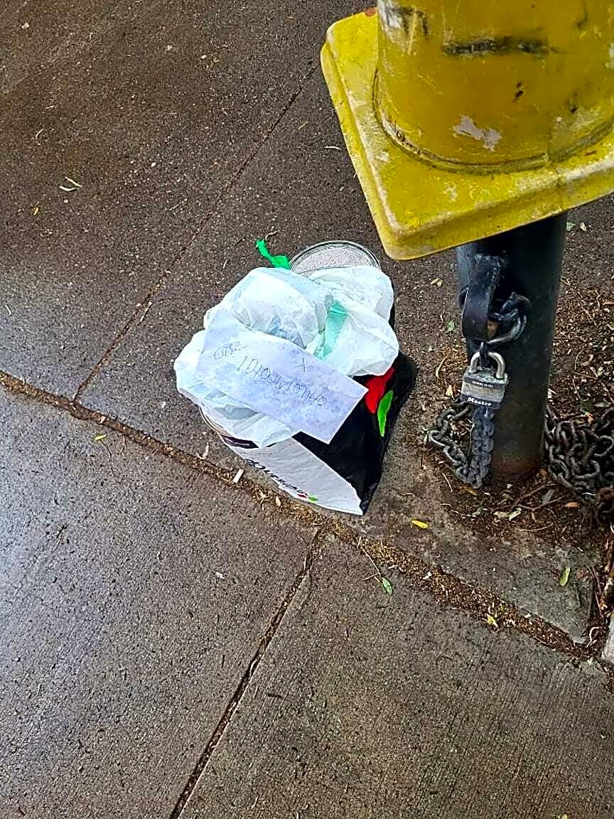 Image submitted with report