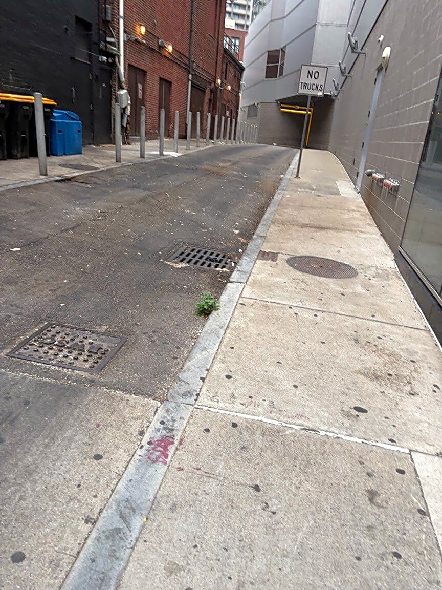 Image submitted with report