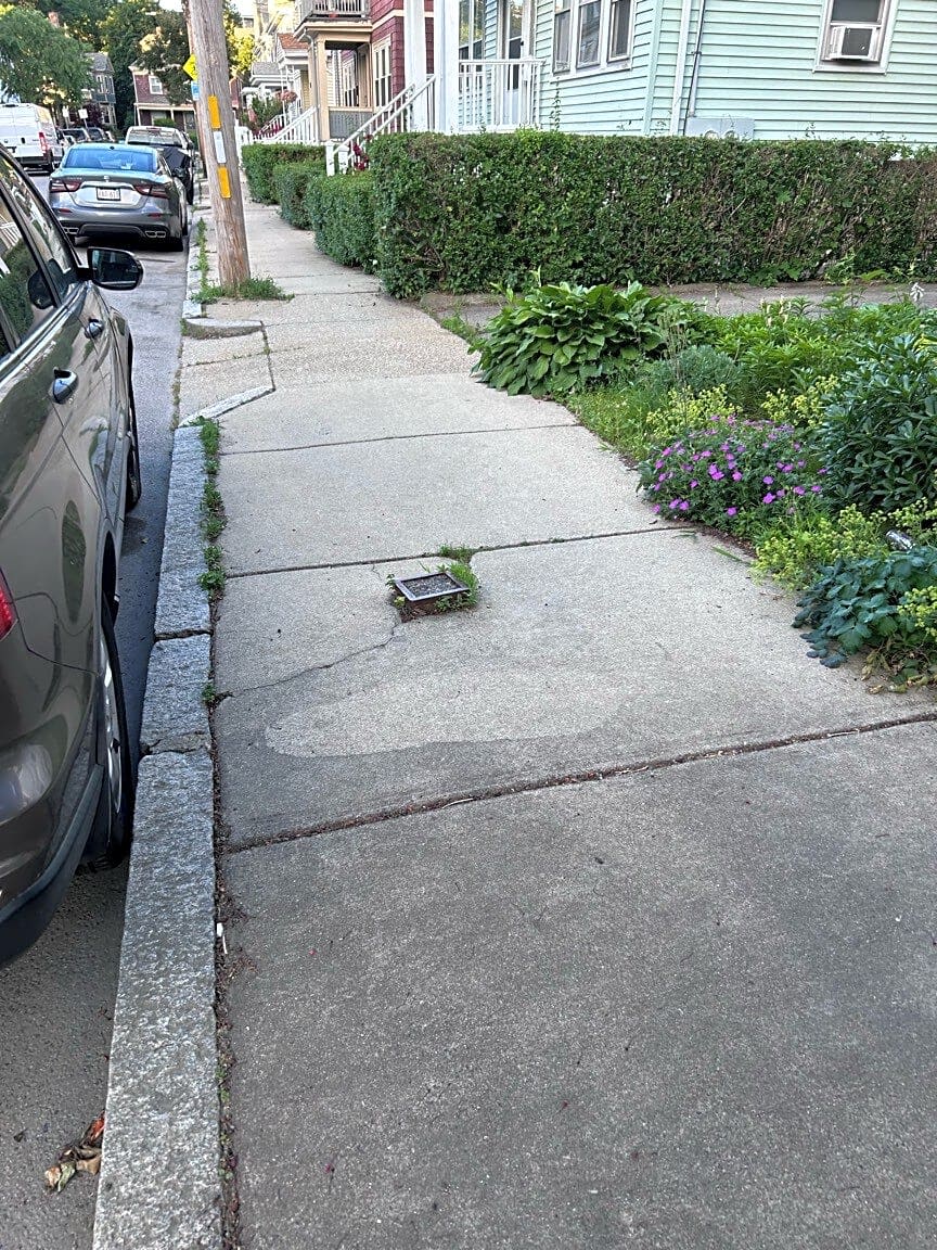 Image submitted with report