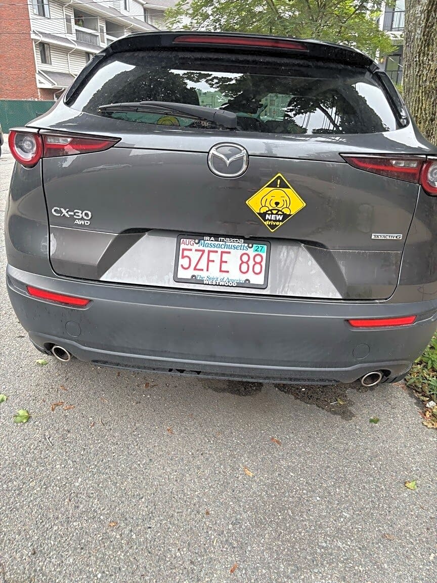 Image submitted with report