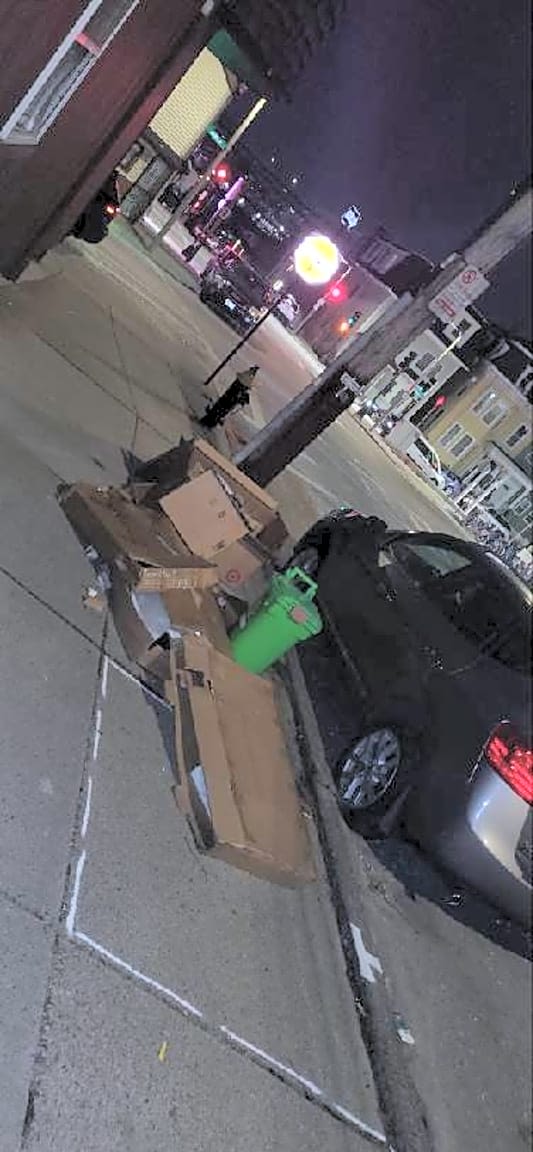 Image submitted with report