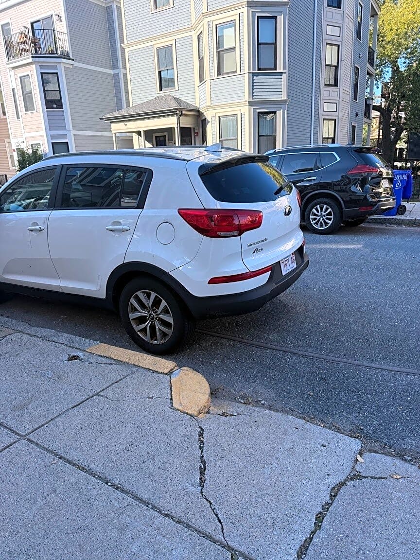 Image submitted with report