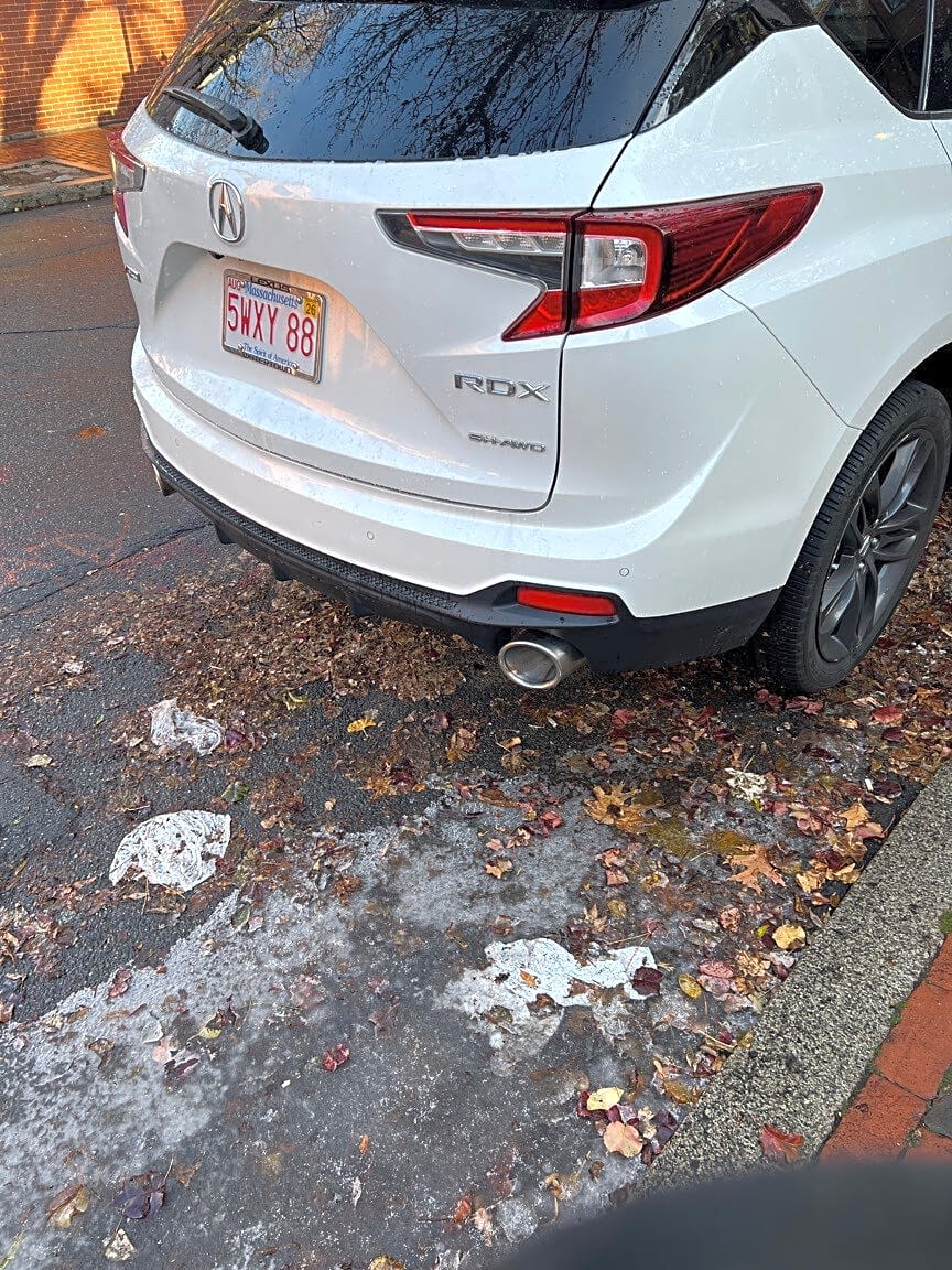 Image submitted with report