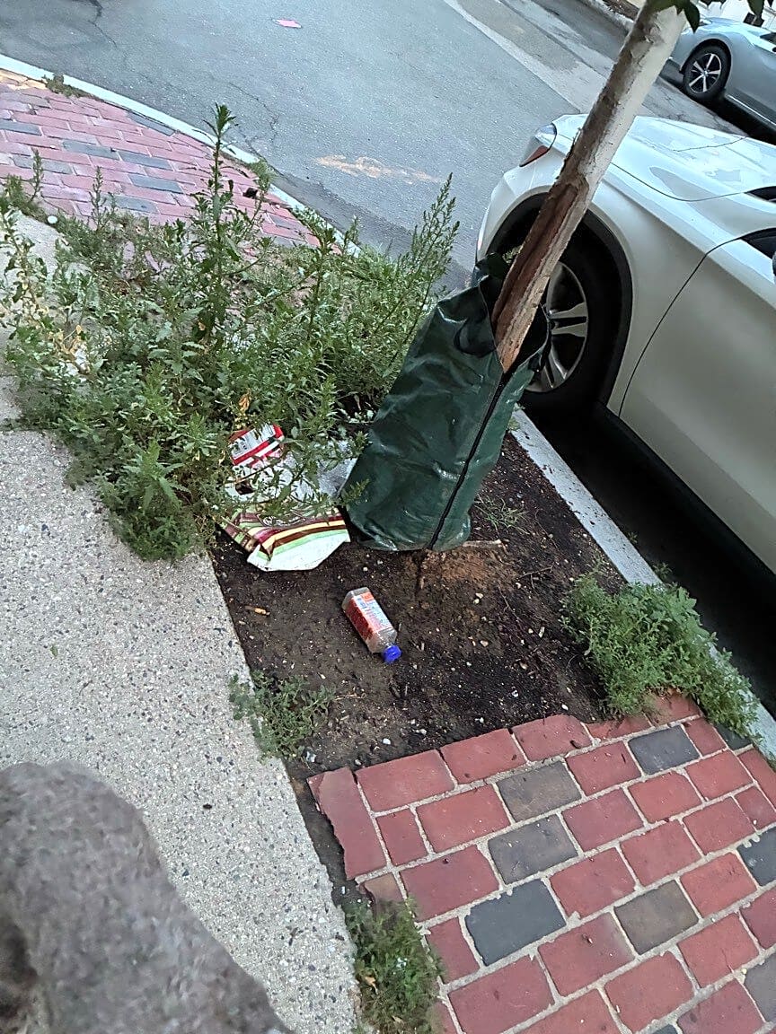 Image submitted with report