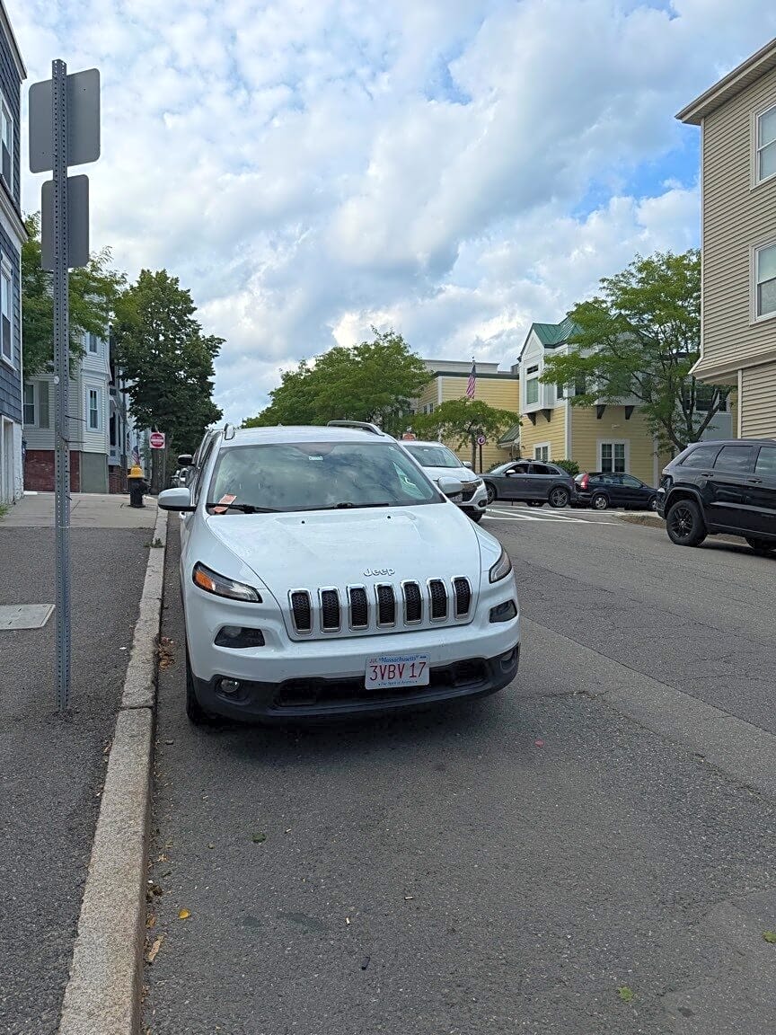 Image submitted with report