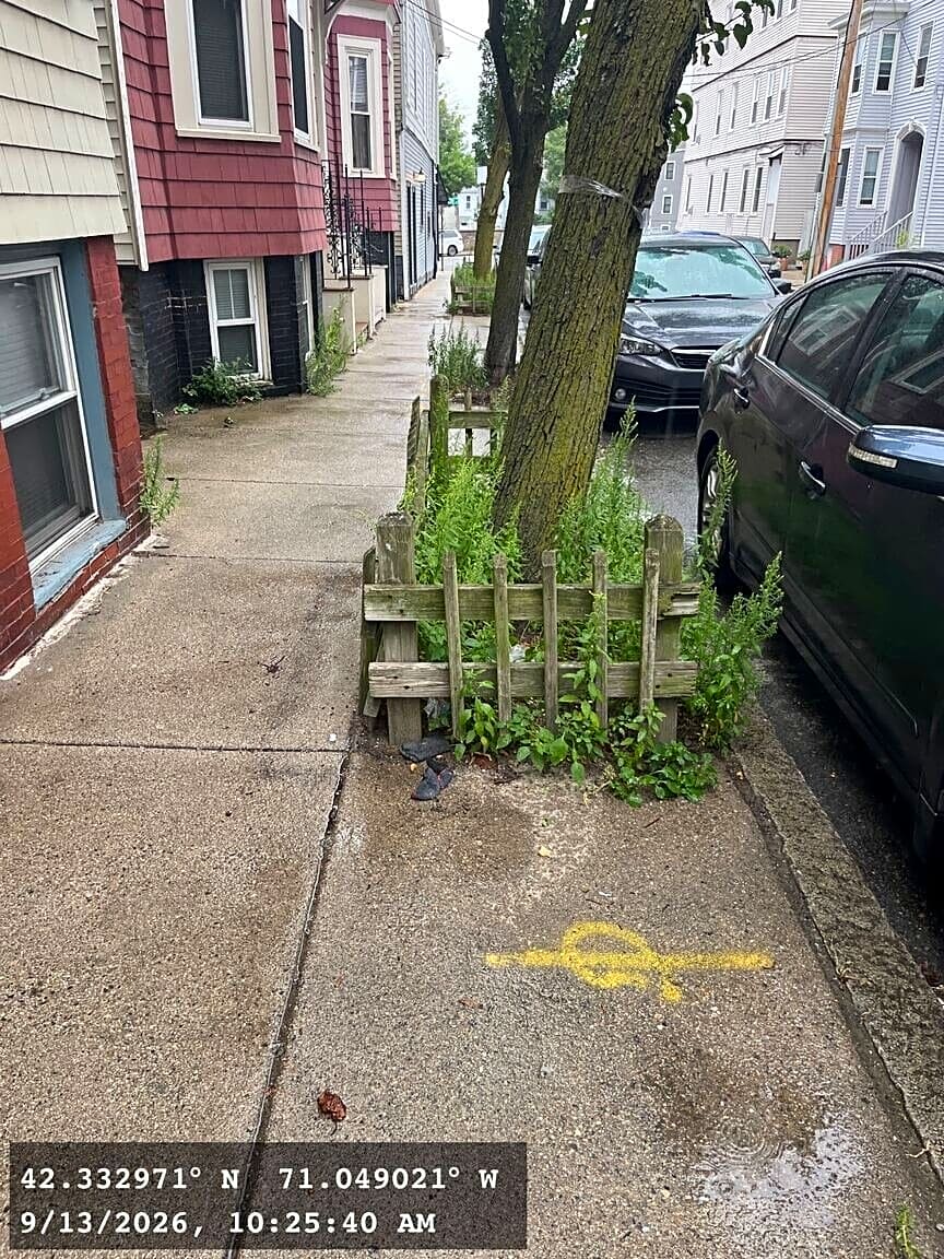 Image submitted with report