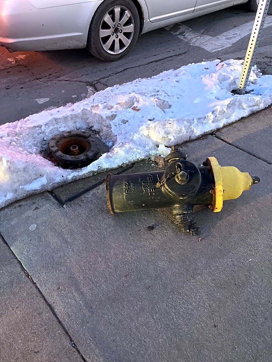 Image submitted with report