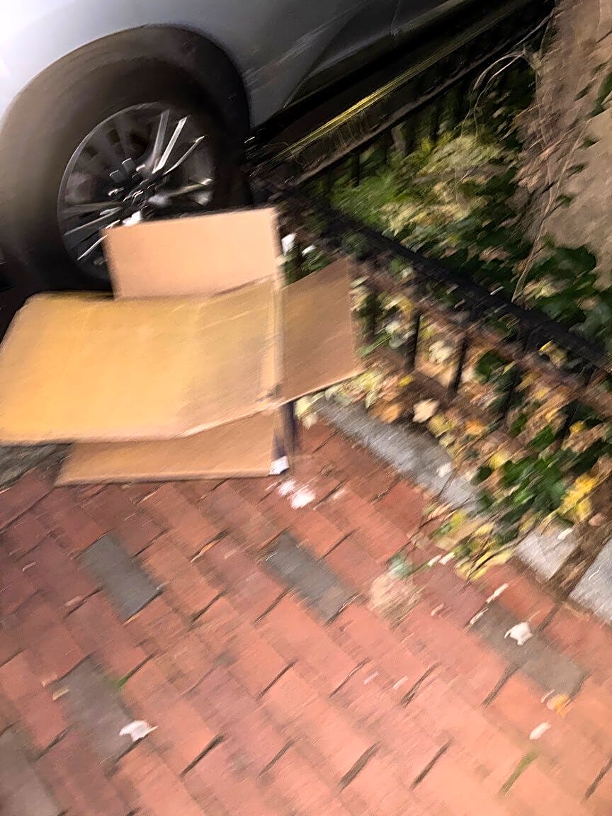 Image submitted with report