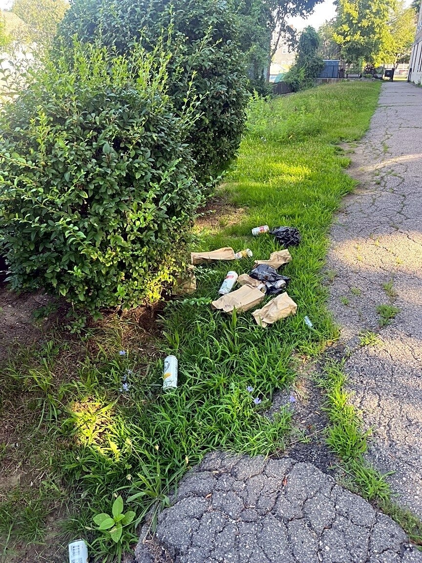 Image submitted with report