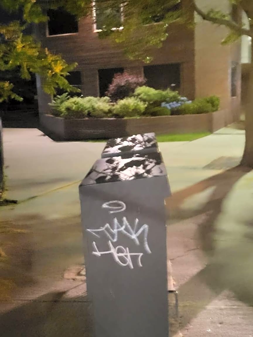 Image submitted with report