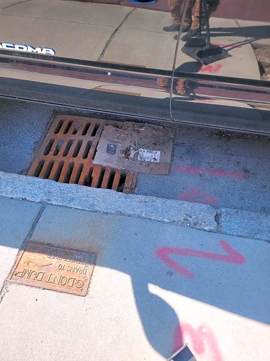 Image submitted with report