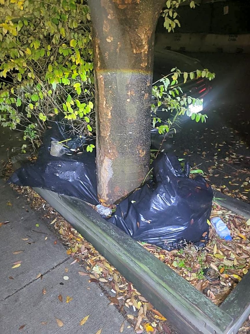 Image submitted with report