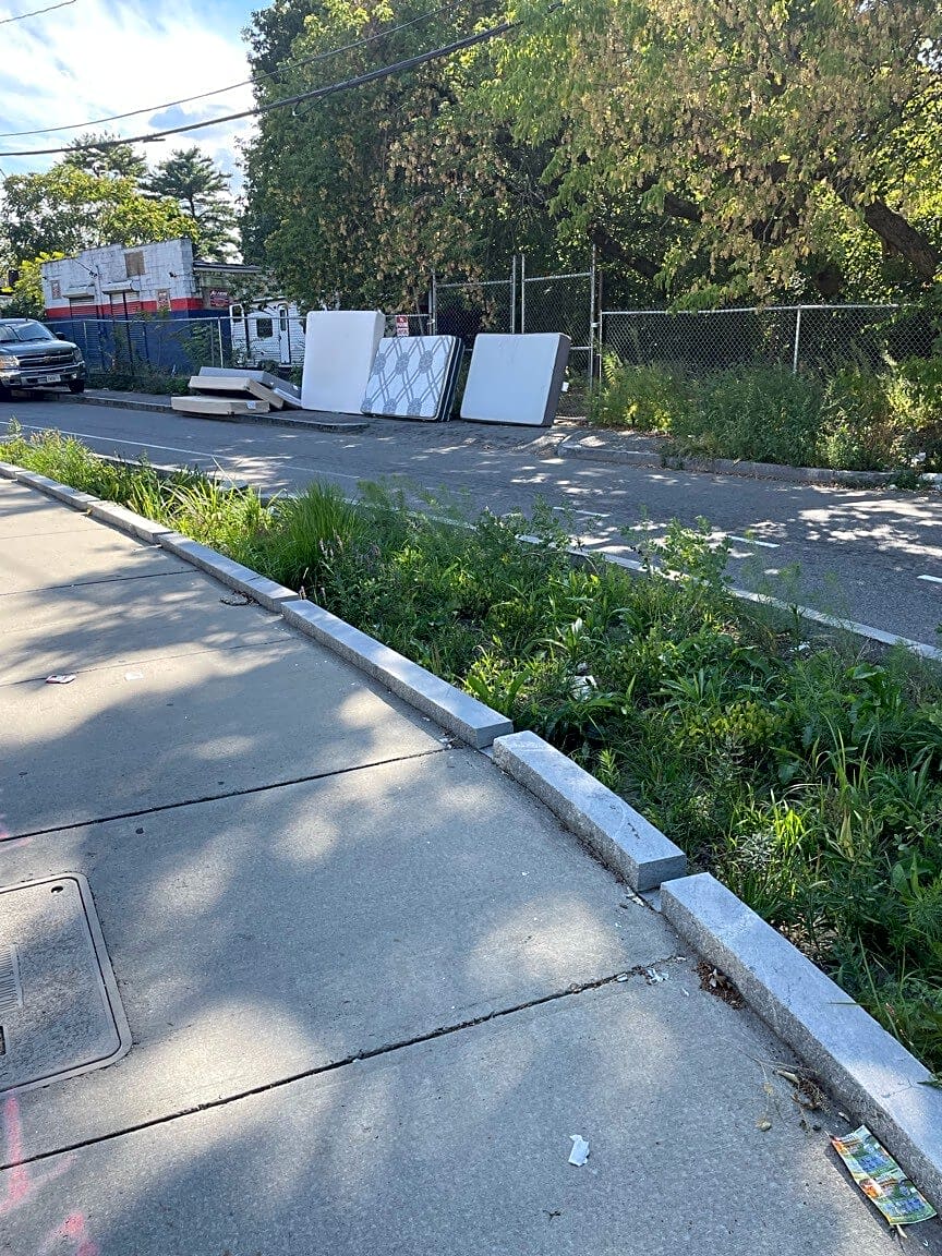 Image submitted with report