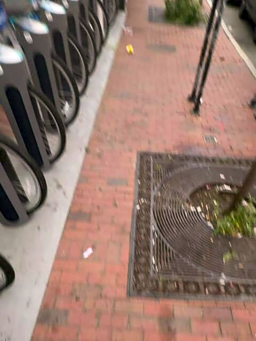 Image submitted with report