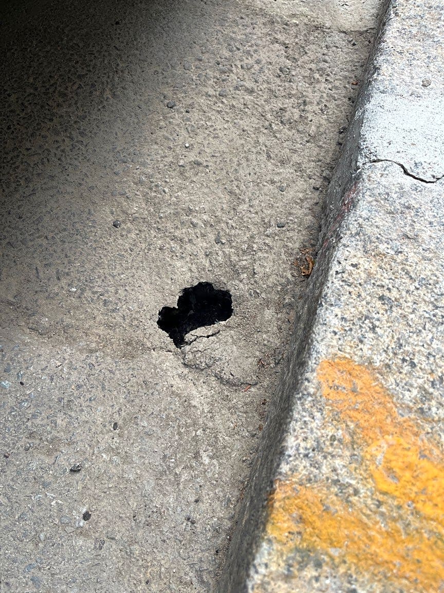 Image submitted with report