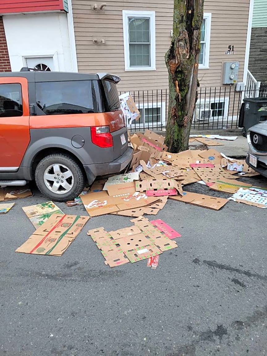 Image submitted with report