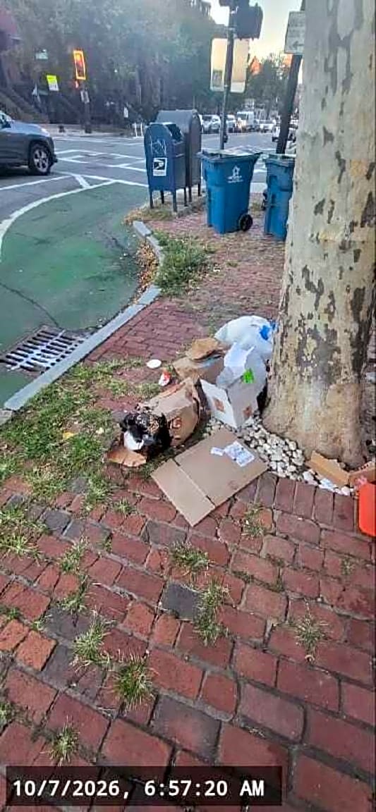 Image submitted with report