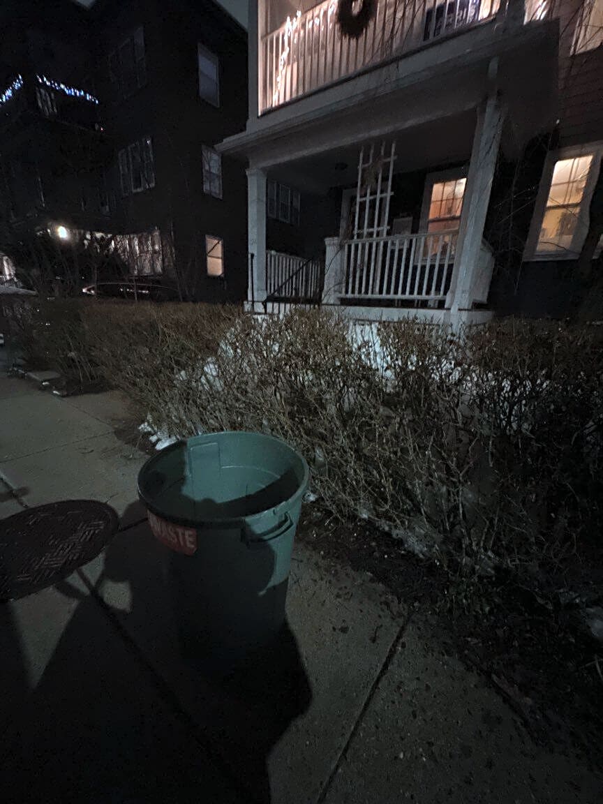 Image submitted with report